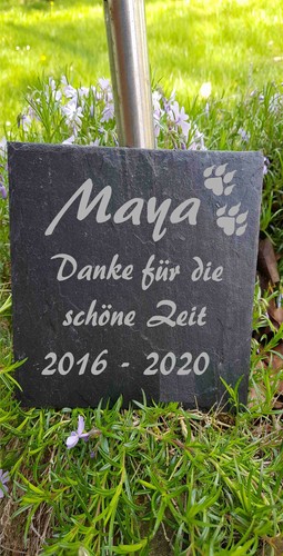 Gedenktafel für hund katze - gedenktafel,